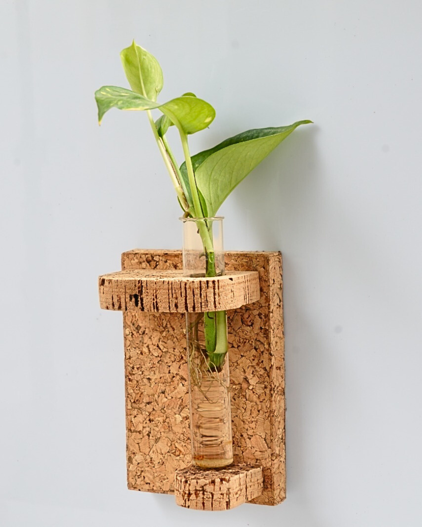 raw yarns natural cork wall mount planter - testube