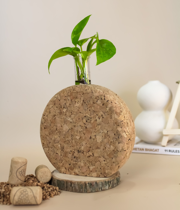 Brown Cork Boat Shape Planter, For Home at Rs 350 in Raniganj