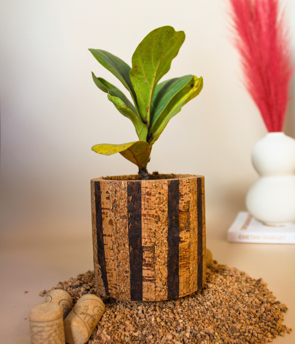 faccul lata plante with cork planter