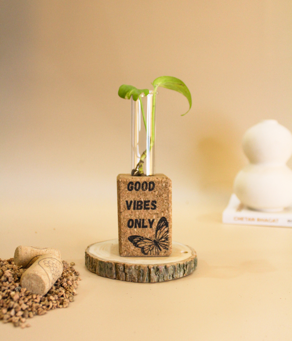 Cork Mini Fridge Magnets Planters (set of 2)