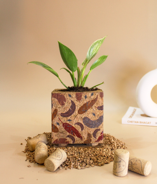 flo london plant with cork planter