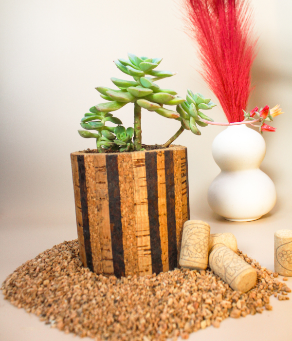 flower secculent with cork planter